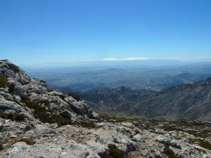 smagina2016-22