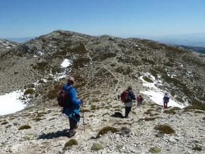 smagina2016-25