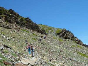 Albergue2017-17