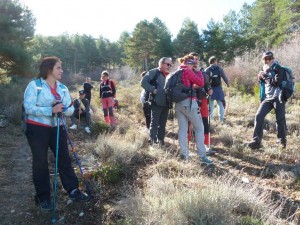 colladopino2017-06