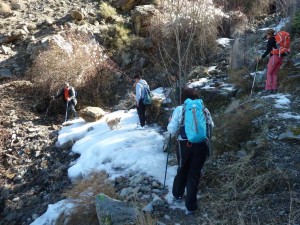 colladopino2017-12