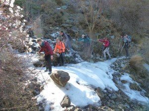 colladopino2017-13