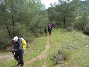 elburgo2017-12