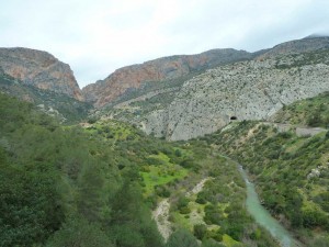 elburgo2017-35