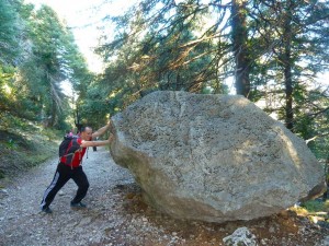 El Pinsapar 16 
