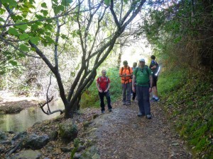 Ruta Rio Majaaceite 3