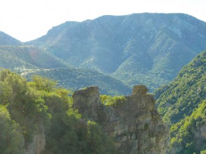 Garganta verde 5   