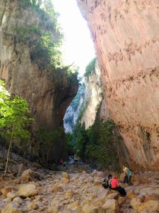 Garganta verde 7     