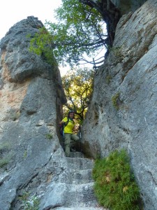 Garganta verde 8    