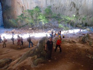 Garganta verde 11    