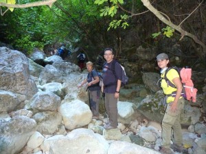 Garganta verde 17  