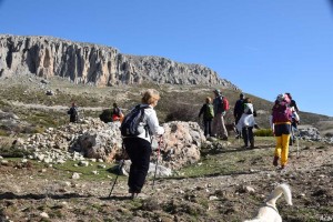 eljimestral2017-06