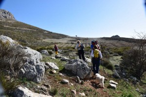 eljimestral2017-08
