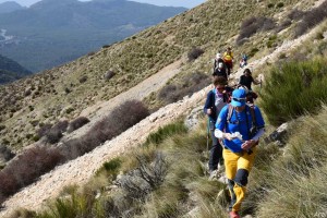 eljimestral2017-12