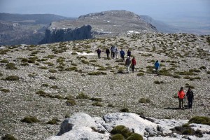 eljimestral2017-16