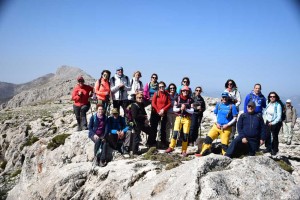 eljimestral2017-19