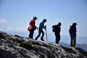 eljimestral2017-22