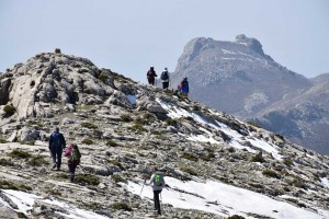 eljimestral2017-24