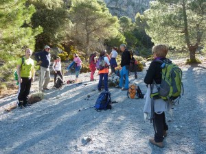 csandia2017-06