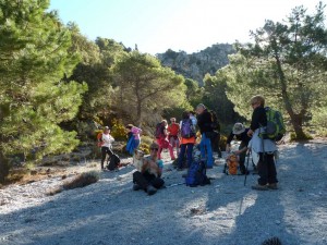 csandia2017-07