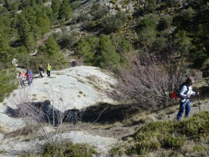 csandia2017-09