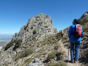 csandia2017-16