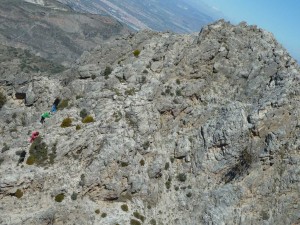csandia2017-17
