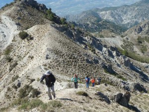 csandia2017-18