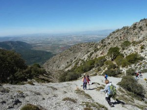 csandia2017-25