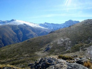 pcazoletas2017-06
