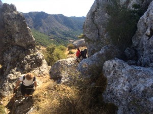 pmata2017-07