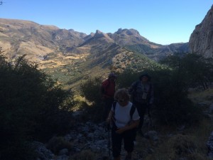 pmata2017-08