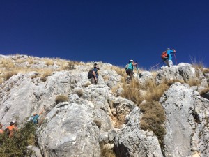 pmata2017-12