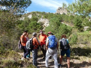 alayos2017-07