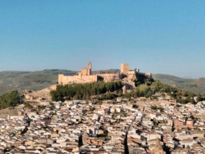 alcala2017-16
