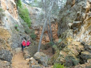 andarax2017-22