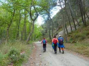 andarax2017-25