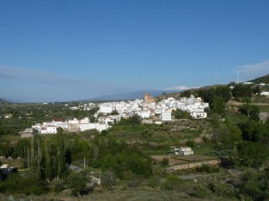 andarax2017-31