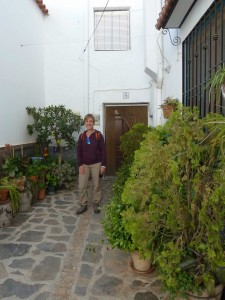 andarax2017-32