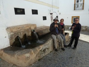 andarax2017-33