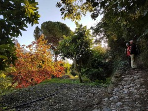 guajares2017-06