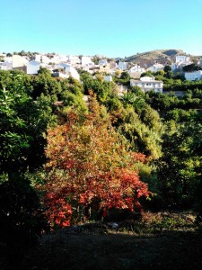 guajares2017-16