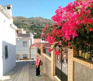guajares2017-28
