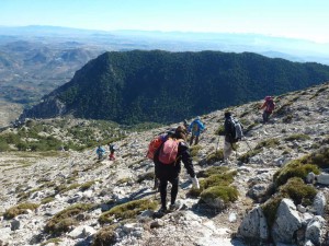 smagina2017-22