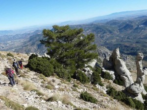 smagina2017-24