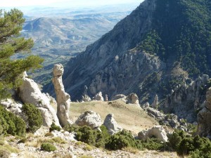 smagina2017-25
