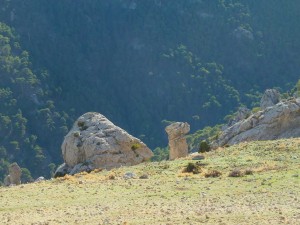 smagina2017-31