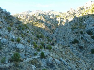 smagina2017-32
