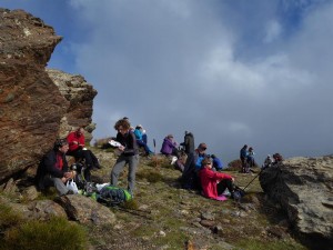 calguacil2019-06