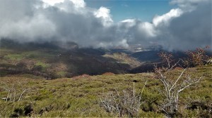 calguacil2019-08